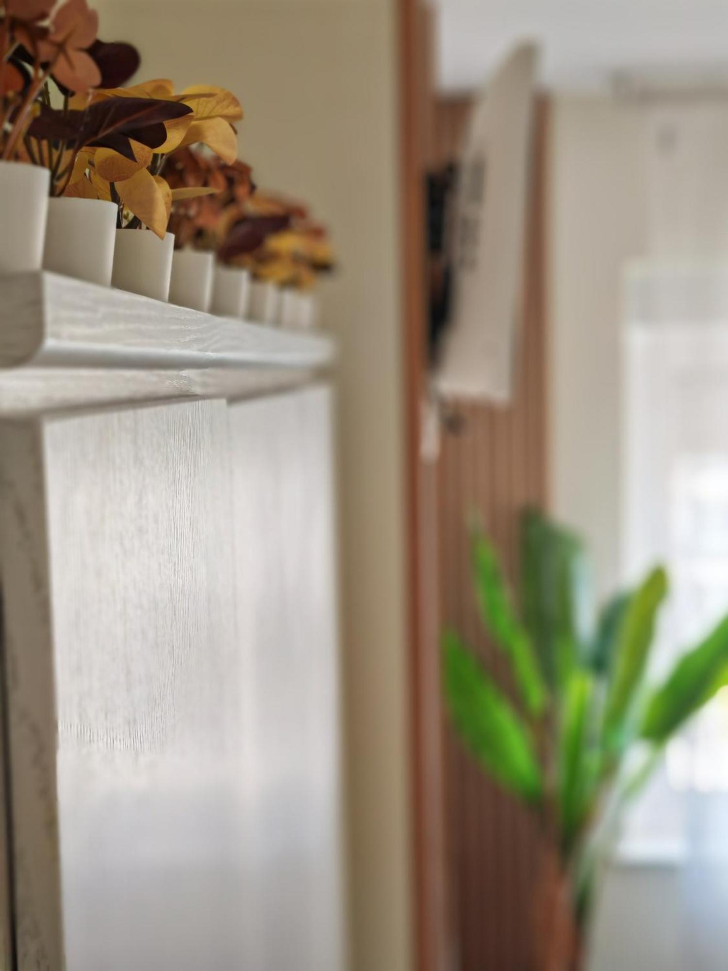 Apartamento Ladevesa Elx Esterno foto